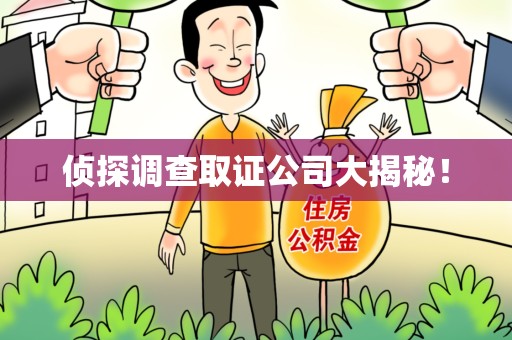 成都侦探调查取证公司大揭秘！