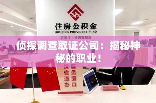 成都侦探调查取证公司：揭秘神秘的职业！