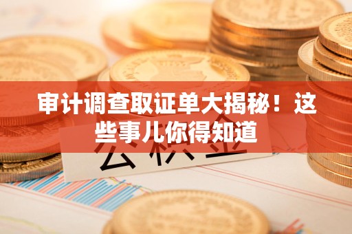 成都审计调查取证单大揭秘！这些事儿你得知道