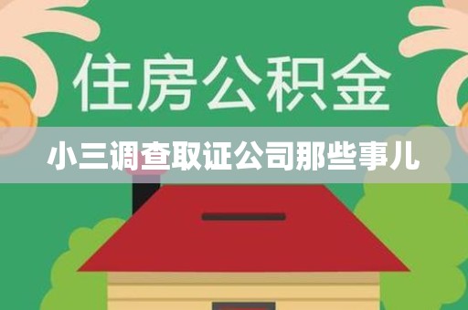 成都小三调查取证公司那些事儿