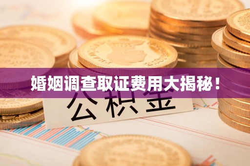 成都婚姻调查取证费用大揭秘！