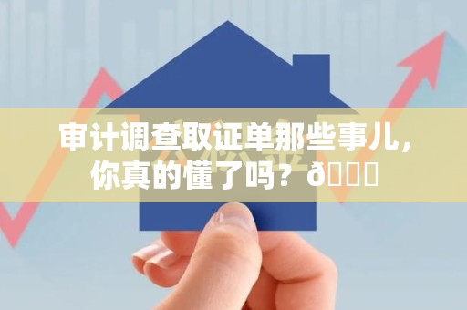成都审计调查取证单那些事儿，你真的懂了吗？😎