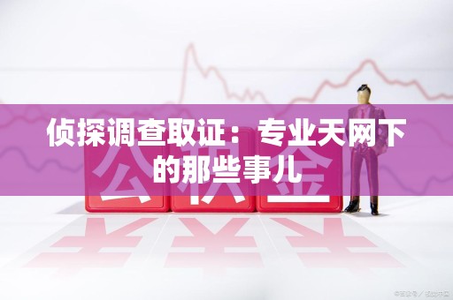 成都侦探调查取证：专业天网下的那些事儿