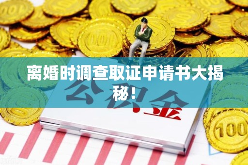 成都离婚时调查取证申请书大揭秘！